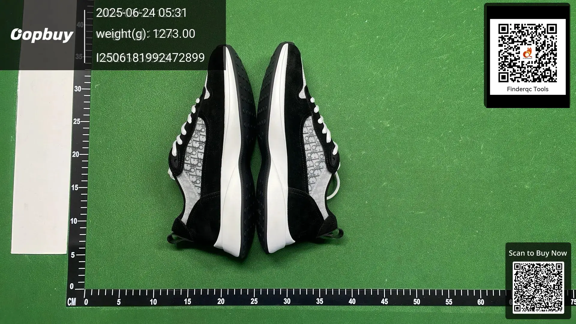 Dior B23 Low Top Sneakers Black Oblique Canvas