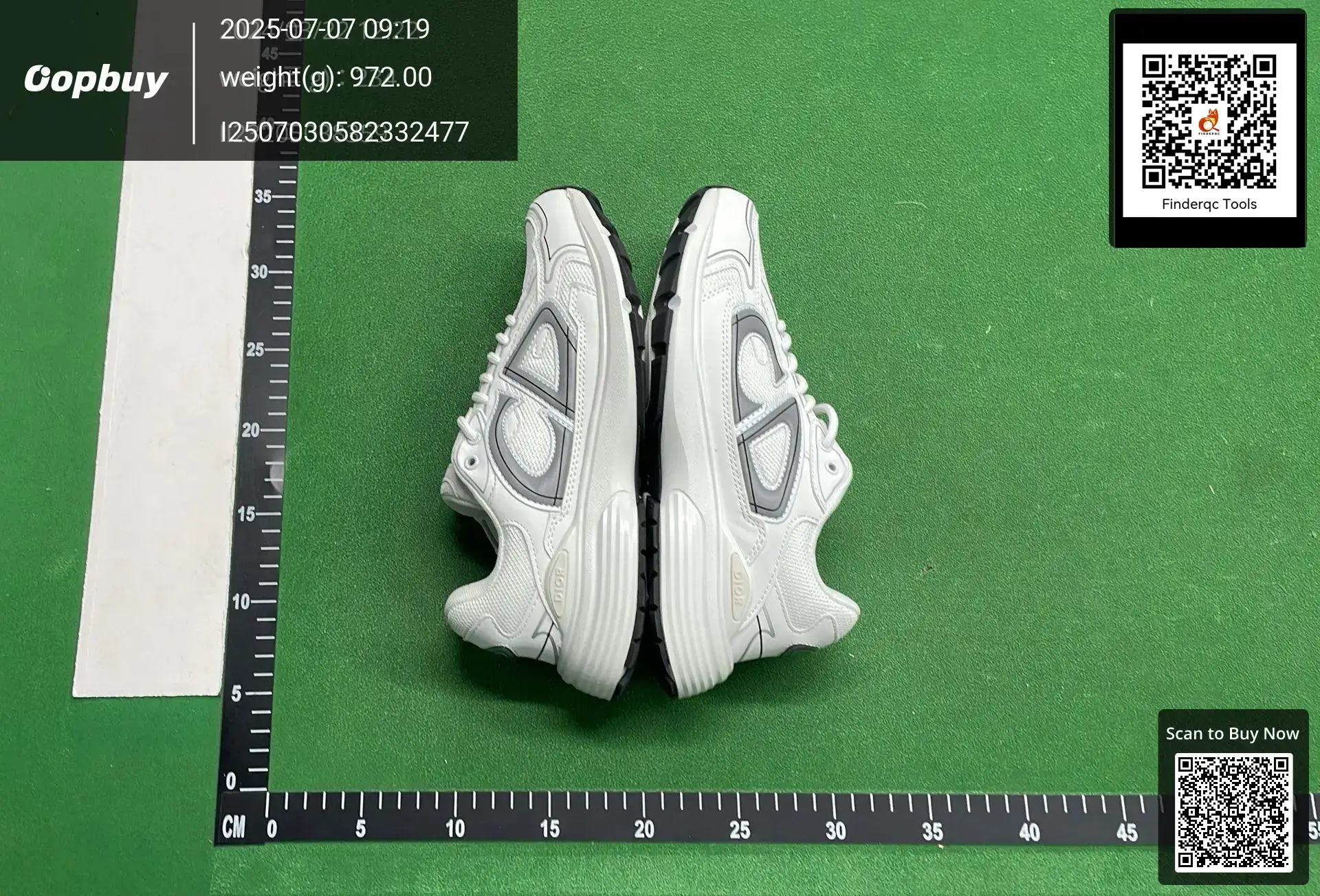 Dior B30 Sneakers White Grey