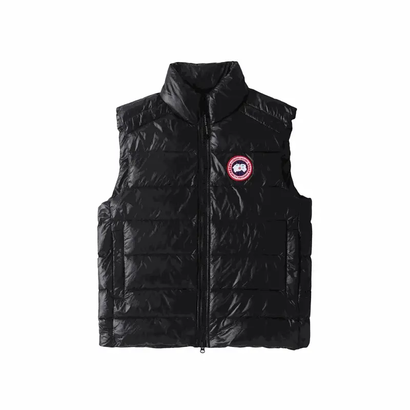 RL high quality down jacket 008 (pls contact WhatsApp: +1 (346) 256-7125, if u need size recommendation)