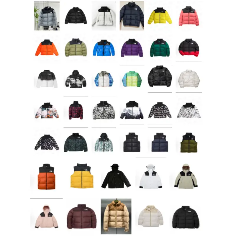 The North Face Nuptse Down Jacket