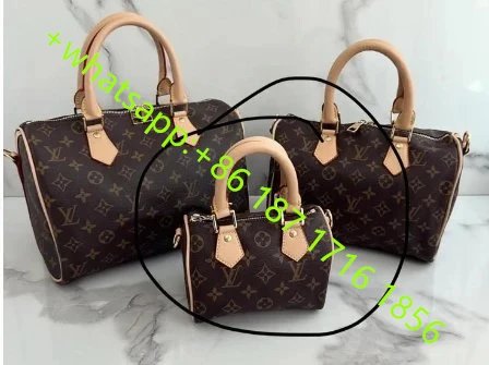 Louis Vuitton Handbag
