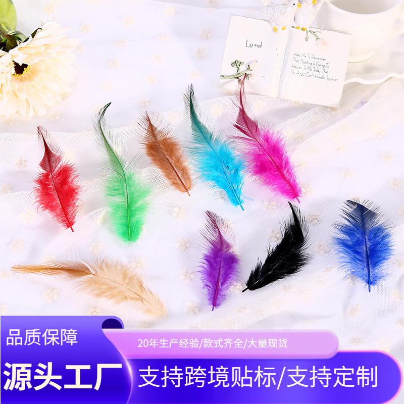 Feather spot wholesale red pointed chicken feather clothing ingredients feather accessories wool color two-color cock feather