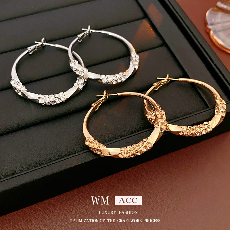Silver Needle Inlaid with Diamonds, Twisted Metal Earrings, Niche Stylish, Cold Style Exaggerated Earrings, Accessible Luxury, High-End European and American Earrings