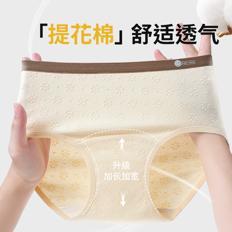 Pure Cotton Extended Crotch, Cotton Crotch, Breathable, Comfortable, Skin-Friendly, Traceless, Class a Medical Grade Mid-Waist Girls' Underwear