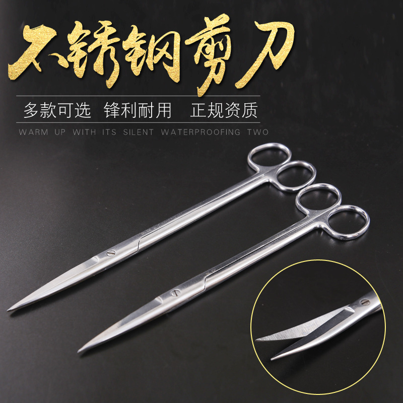 Medical Scissors Surgical Scissors Surgical Stainless Steel Elbow Medical Grade Ophthalmic Nurse Small Dismantle Shears Forceps