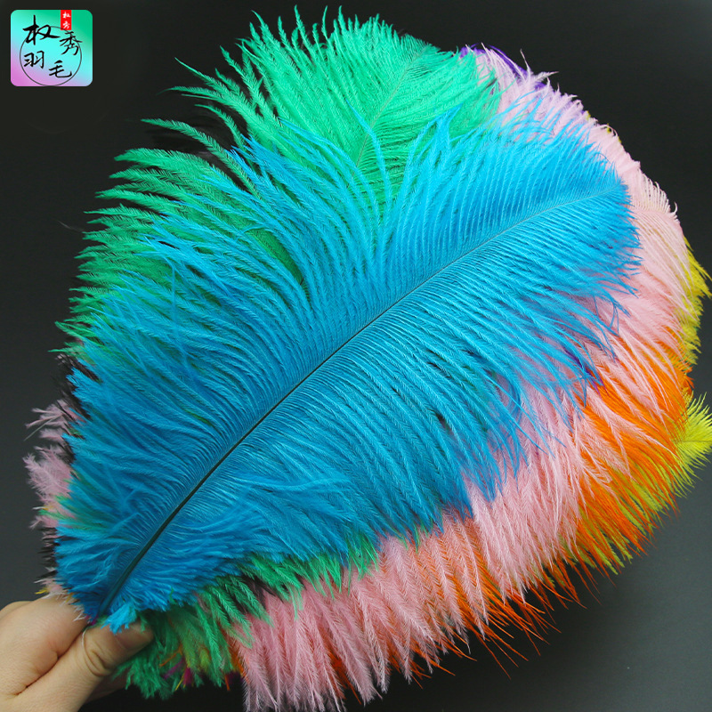 Factory supply high quality dyed color 30-35cm ostrich feather home decoration flower arrangement wedding ostrich feather