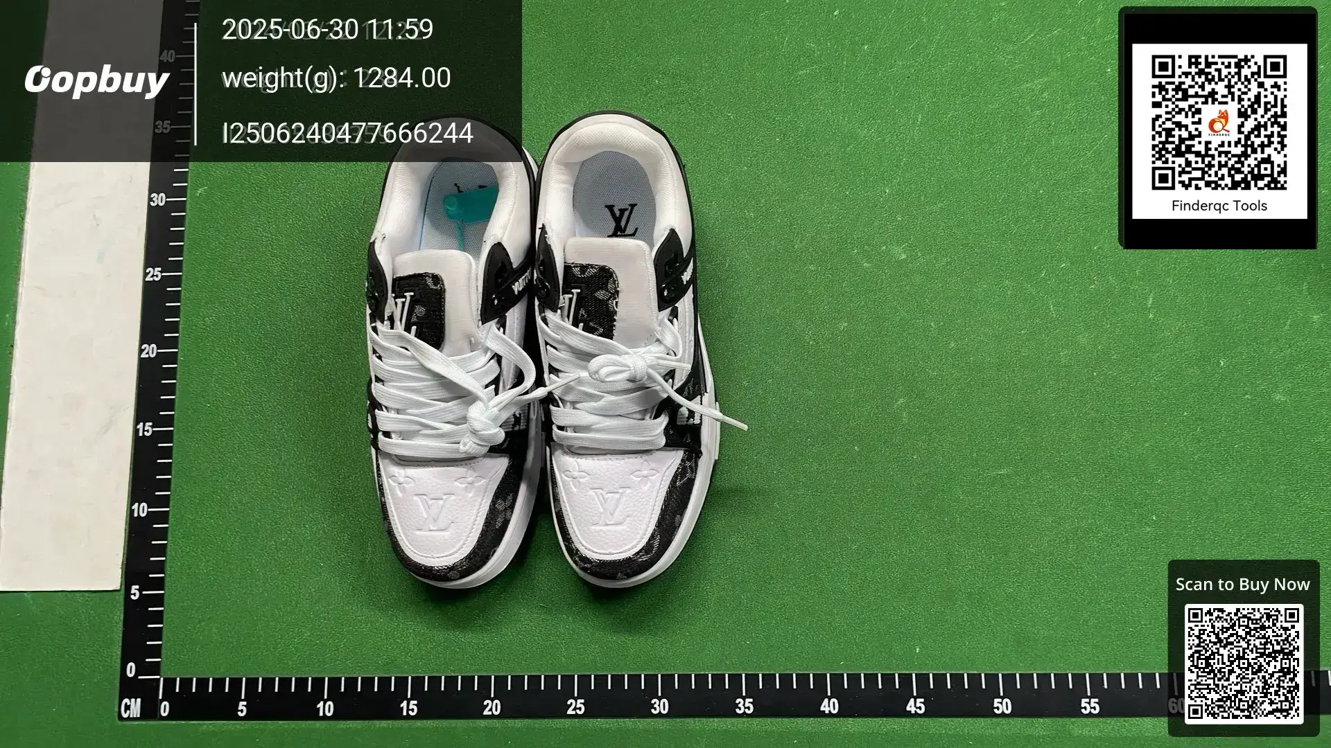 Louis Vuitton LV Trainer White Black