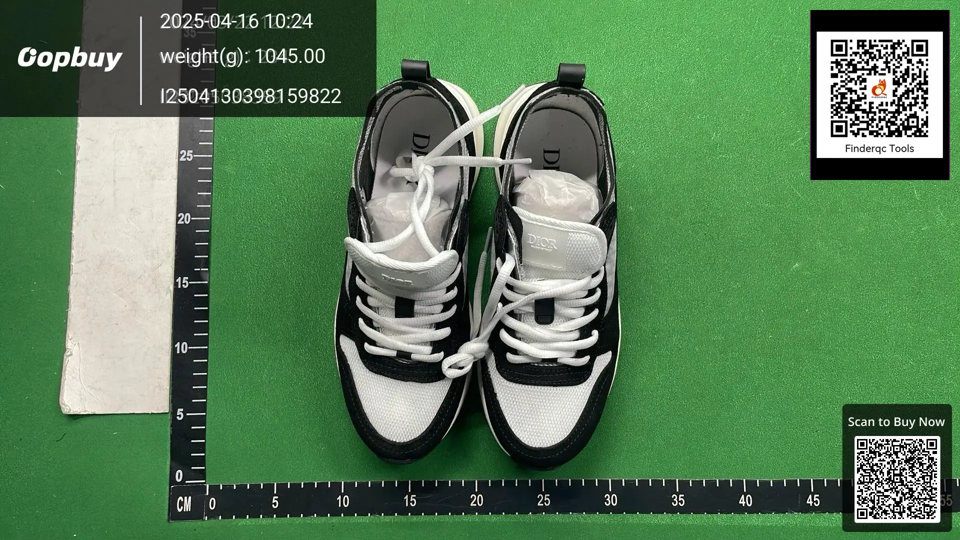 Dior B23 sneakers black white