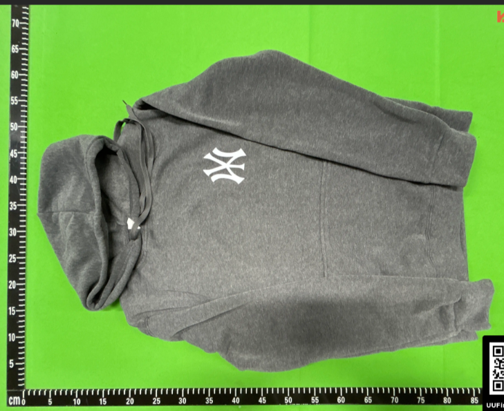 New York Yankees Hoodie