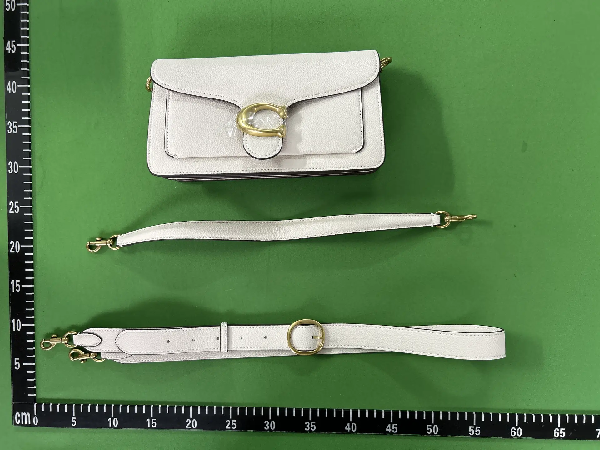 Coach Klare Crossbody