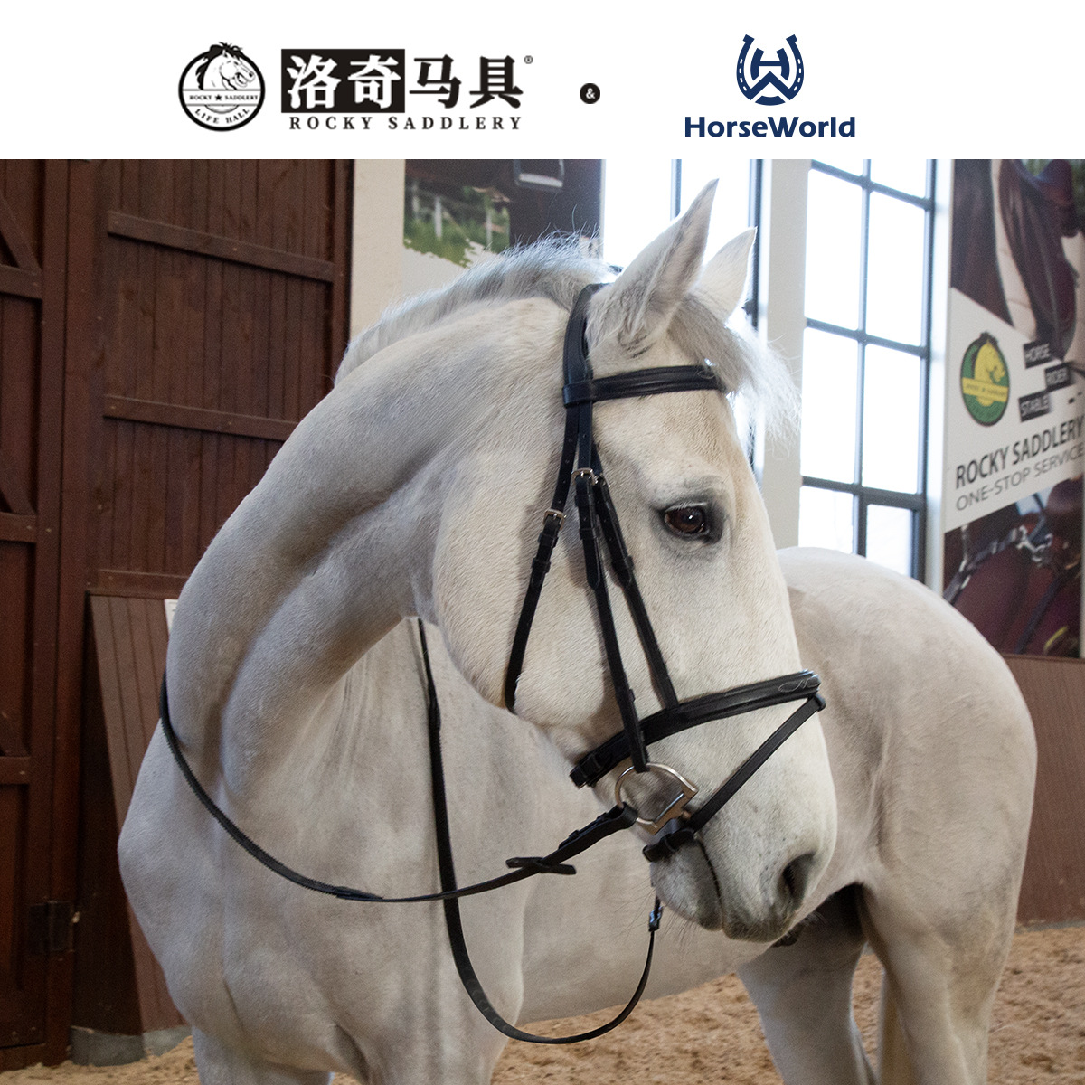 Horseworld classic cowhide water reins equestrian supplies harness saddle accessories 8218129