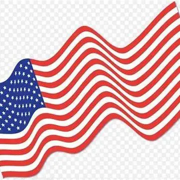 The Iconic Flag Sweater 国旗款毛衣(C&K)