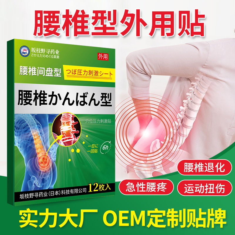 Sakazhino Pharmaceutical Lumbar Type 12 Patches for Lumbar Disc Herniation, Lumbar Strain, and Discomfort, Medical Therapy Patch