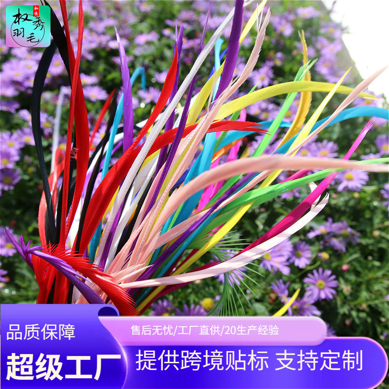 Yiwu factory direct unilateral silk feather Swan hair craft decorative feather diy dyeing color feather