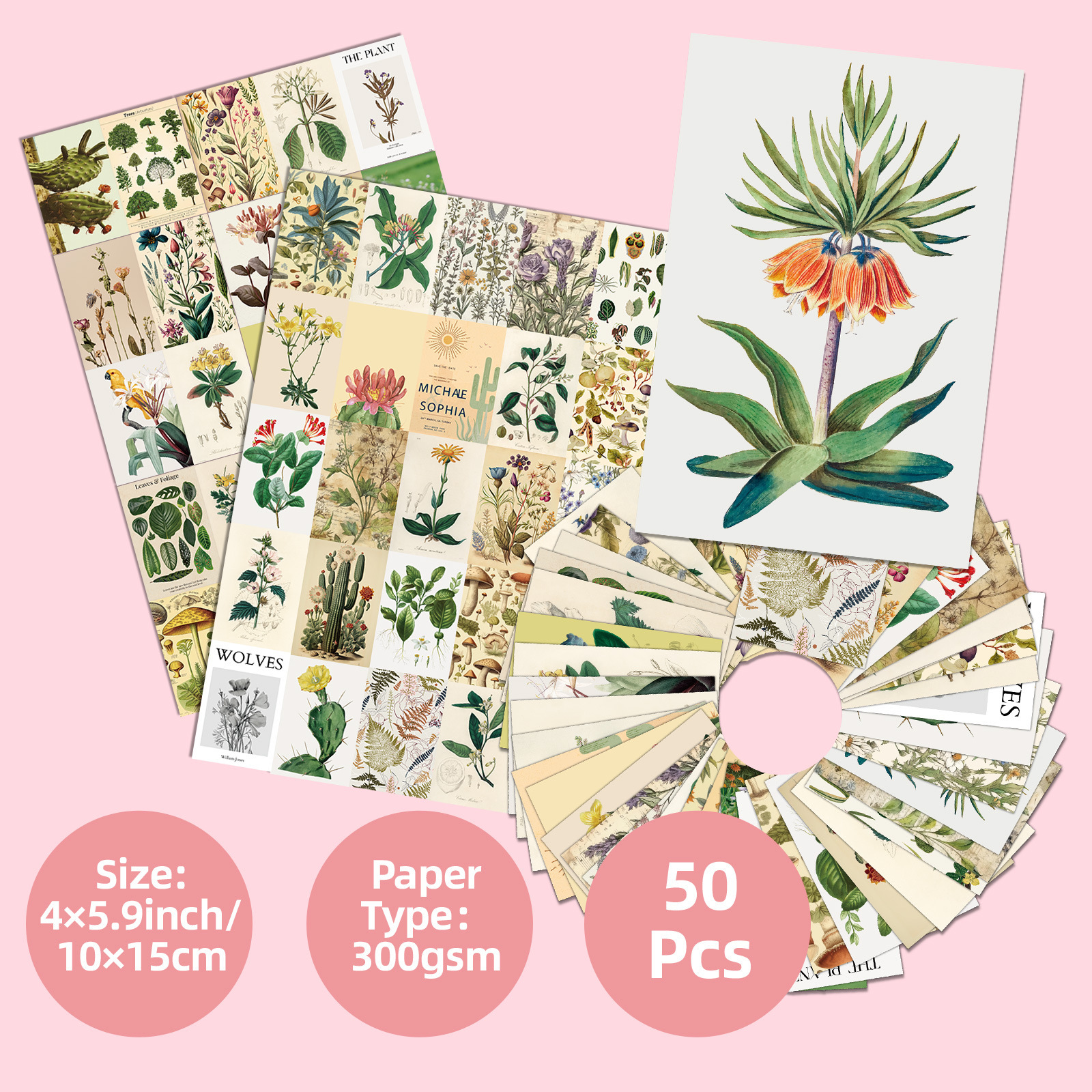 50 pieces of animal and plant wall card background dormitory wall decoration retro flower card warm heart message card postcard