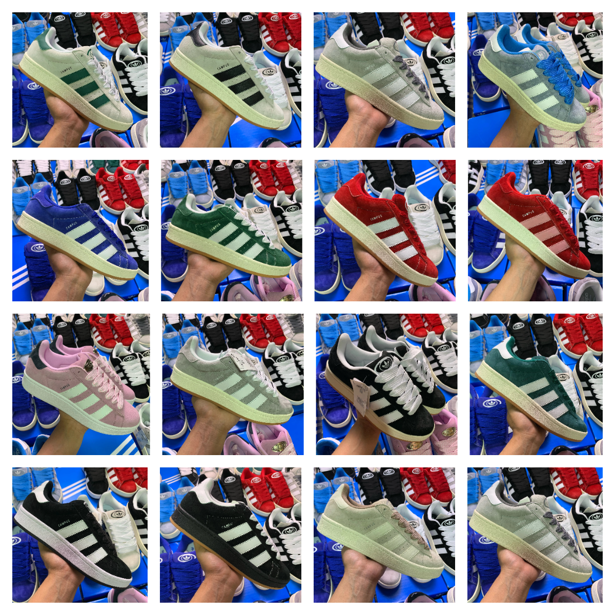 TOP Batch A-D C-a-m-p-u-s 00S