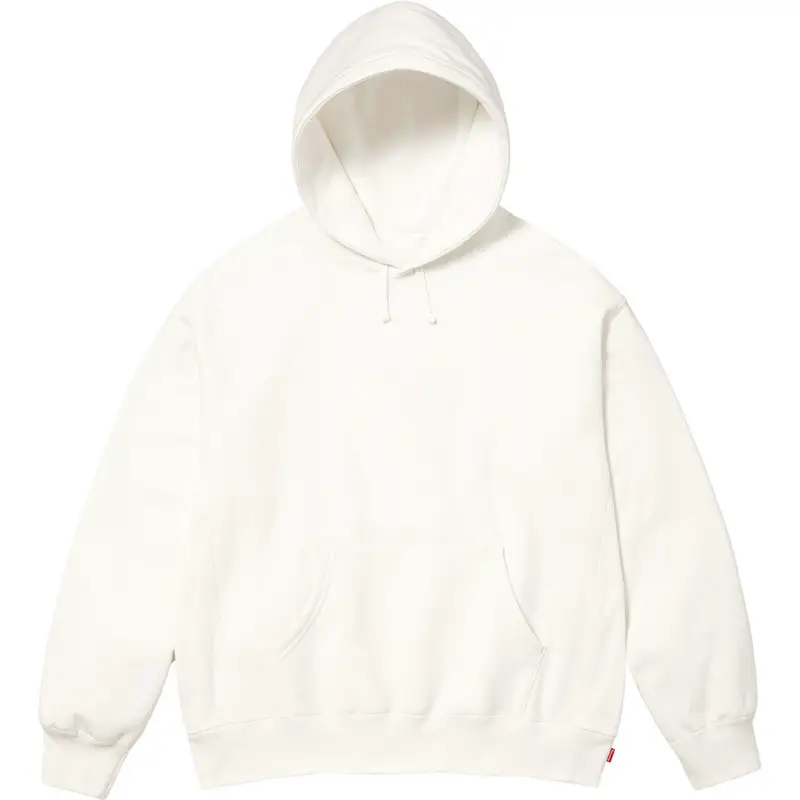 25Fw Box Logo Hooded Sweatshirt