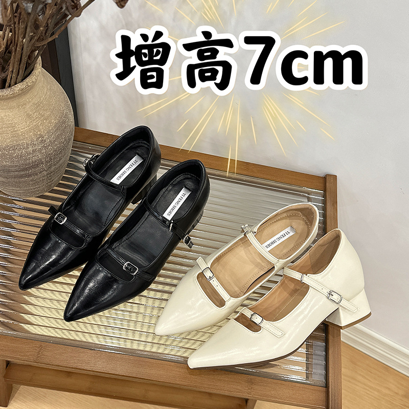 2025 Spring and Autumn New Pointed Shallow Thick Heel Shoes Women's creamy-white Shoes with Mary Jane Shoes with High Heels