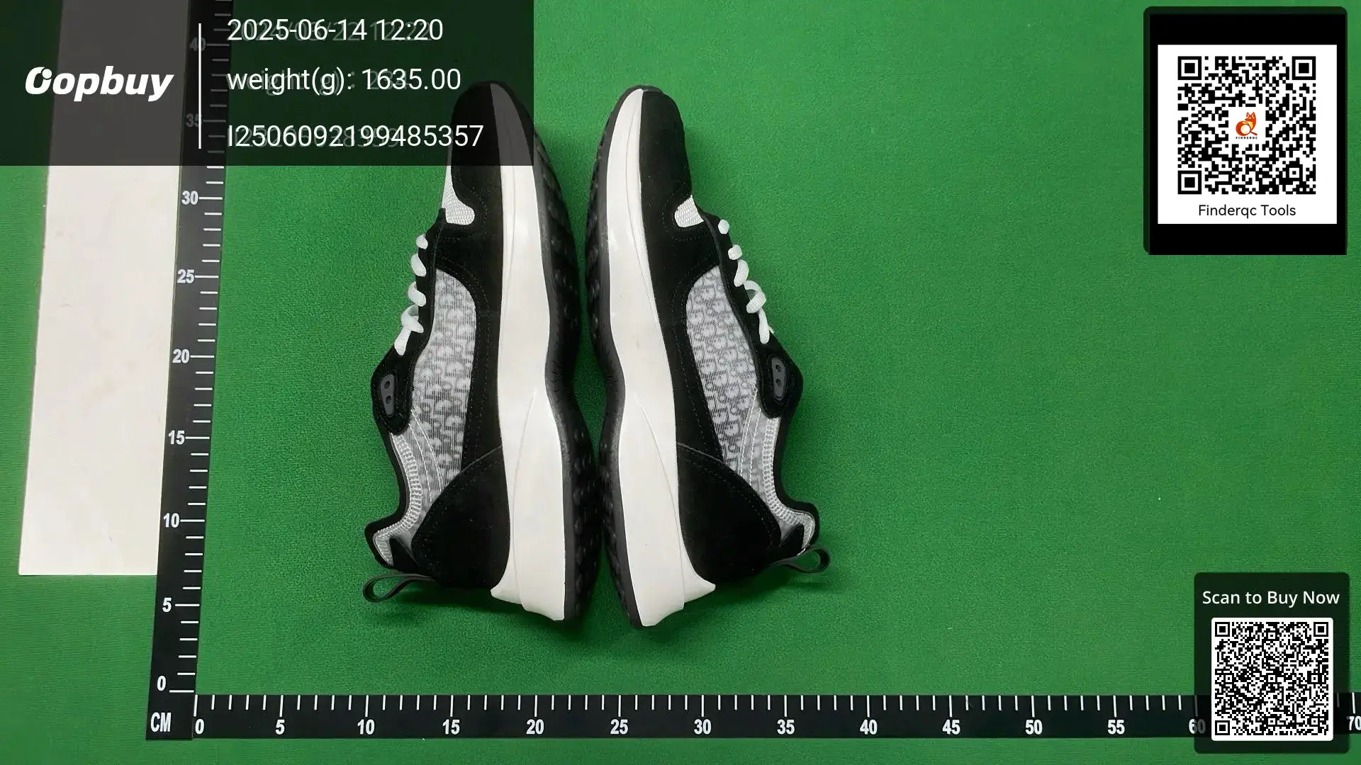 Christian Dior B27 sneakers black