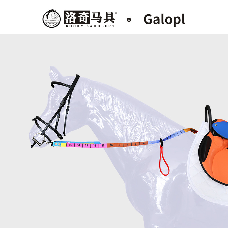 Scale Reins Children's Teaching Reins Beginner's Aid French Galop Horse Equipment Equestrian Supplies Factory 8208001