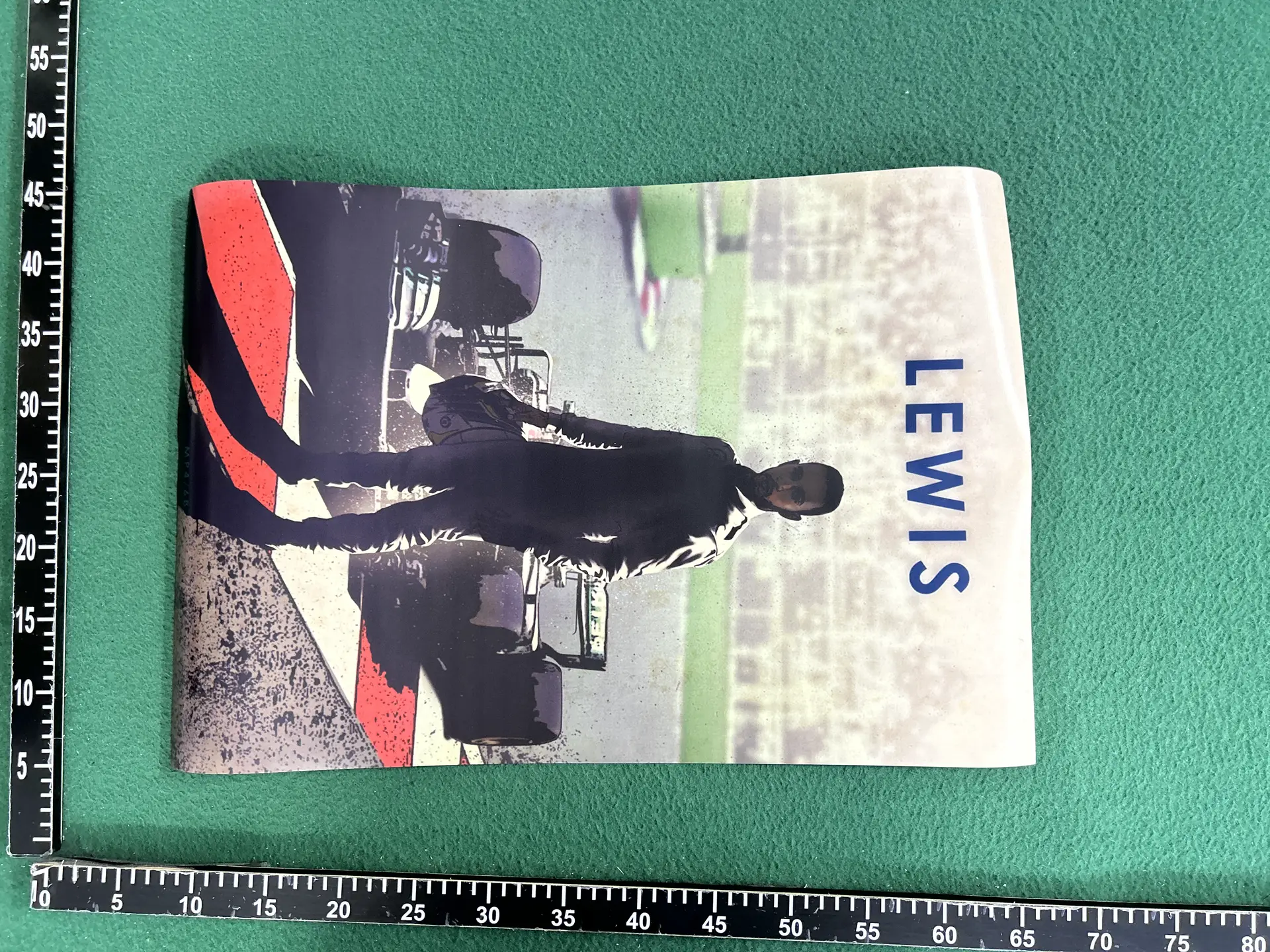 Lewis Hamilton F1 Racing Poster