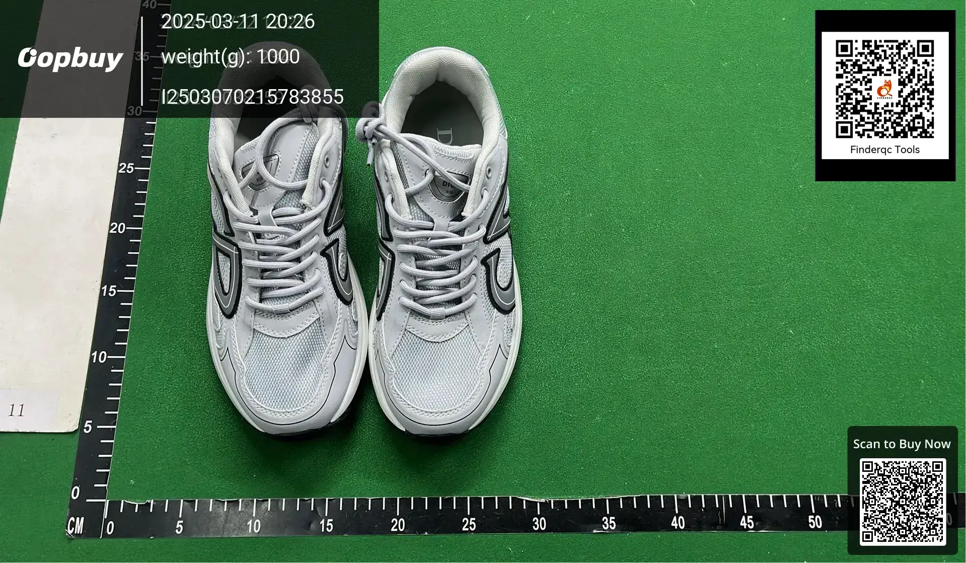 Dior B30 Sneakers Light Gray