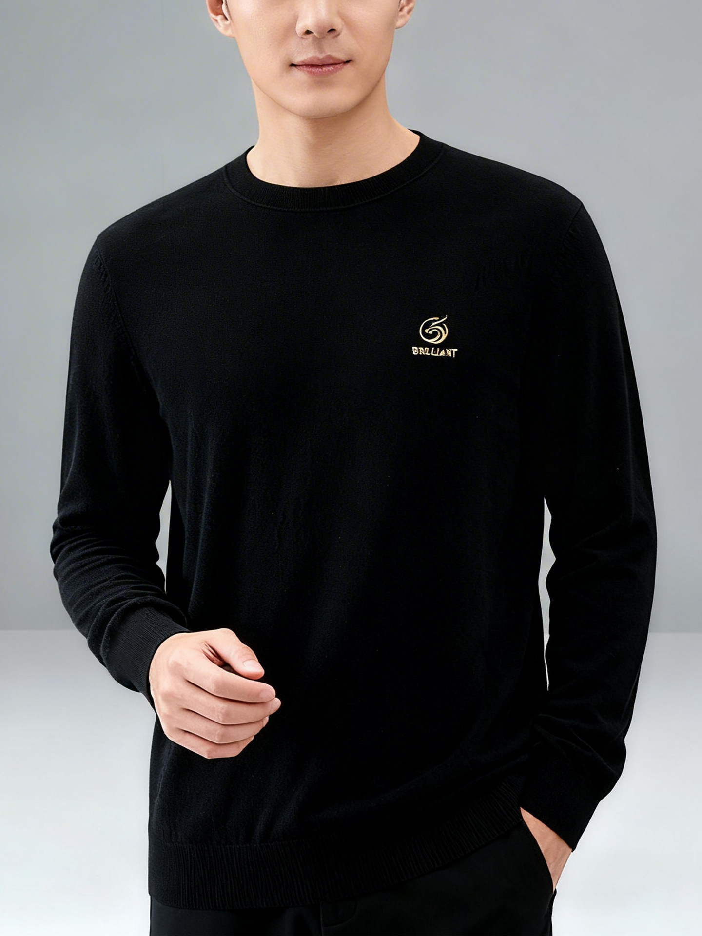 Men's Knitwear with Small Logo on the Chest, Long-Sleeve Casual Round-Neck Sweater for Spring and Autumn 1Y013