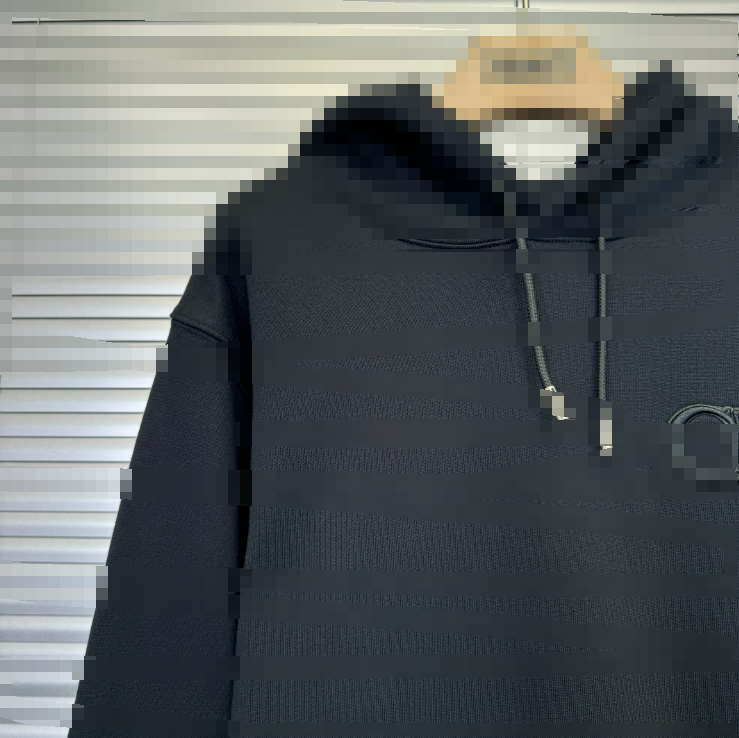 Dior Grey Cotton Hoodie