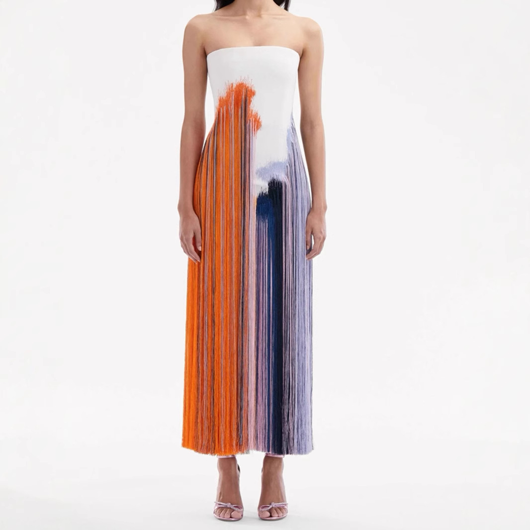 New Summer Cross-Border European and American Women's Clothing Amazon Vacation Tube Top Tassel Printed Slit Long Dress