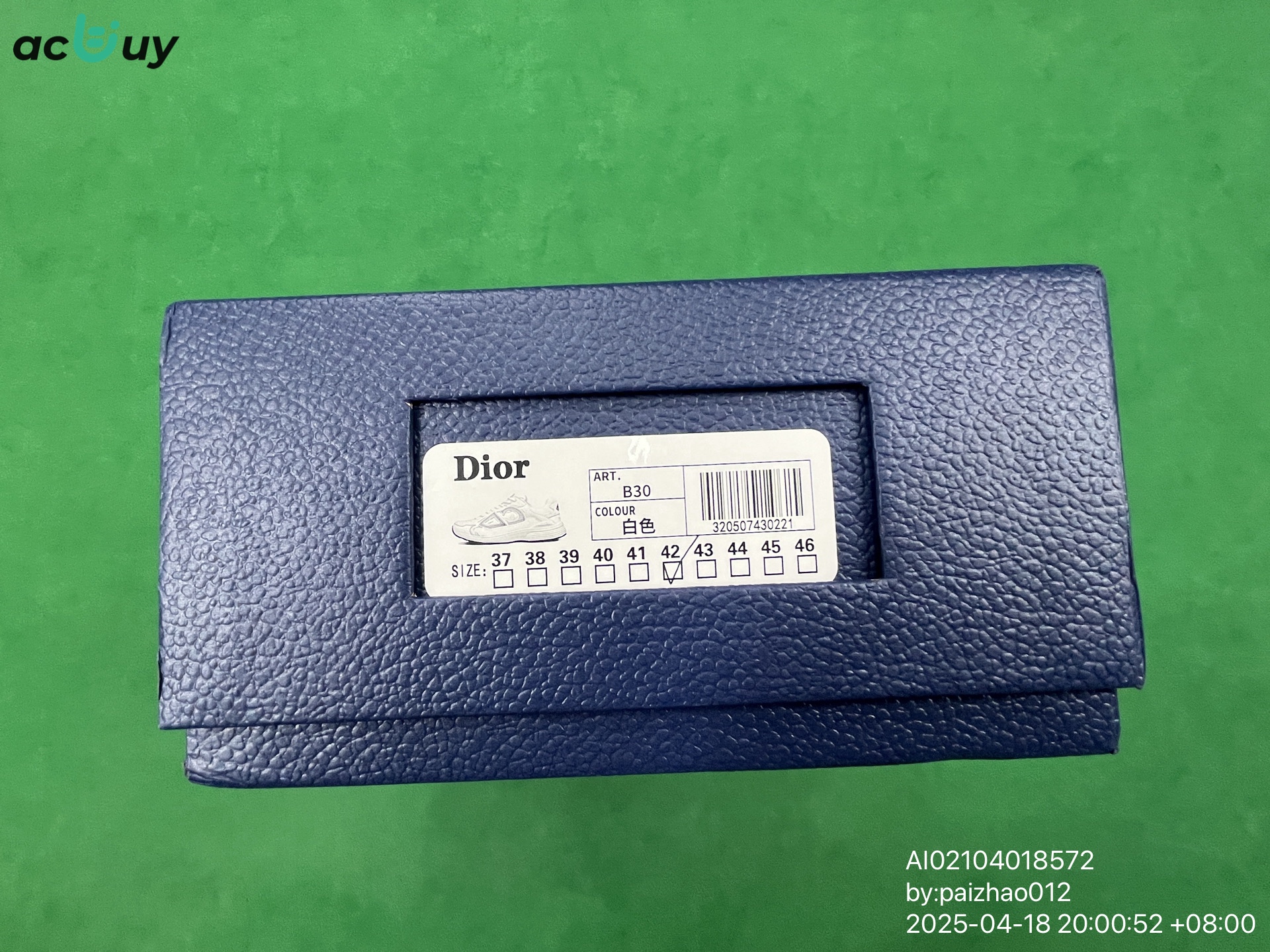 Dior B30 Sneakers QC