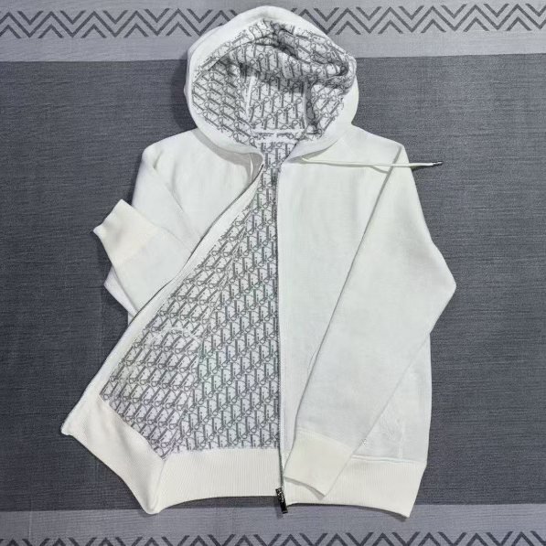 Dior Hoodie
