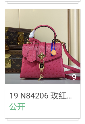 19 N84206 玫红色(鸵鸟纹)