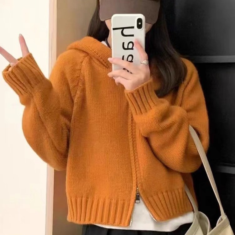 Small Loose Hooded Sweater Cardigan Women's Autumn and Winter New Pure Color Korean Style Short Double Zipper Knitted Top Trendy
