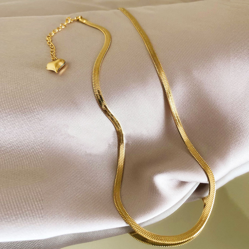 Titanium Steel Flat Snake Bone Necklace Women's Cold Style Simple Niche Light Luxury Internet Trendy Clavicle Chain European and American Elegant All-match plain Chain
