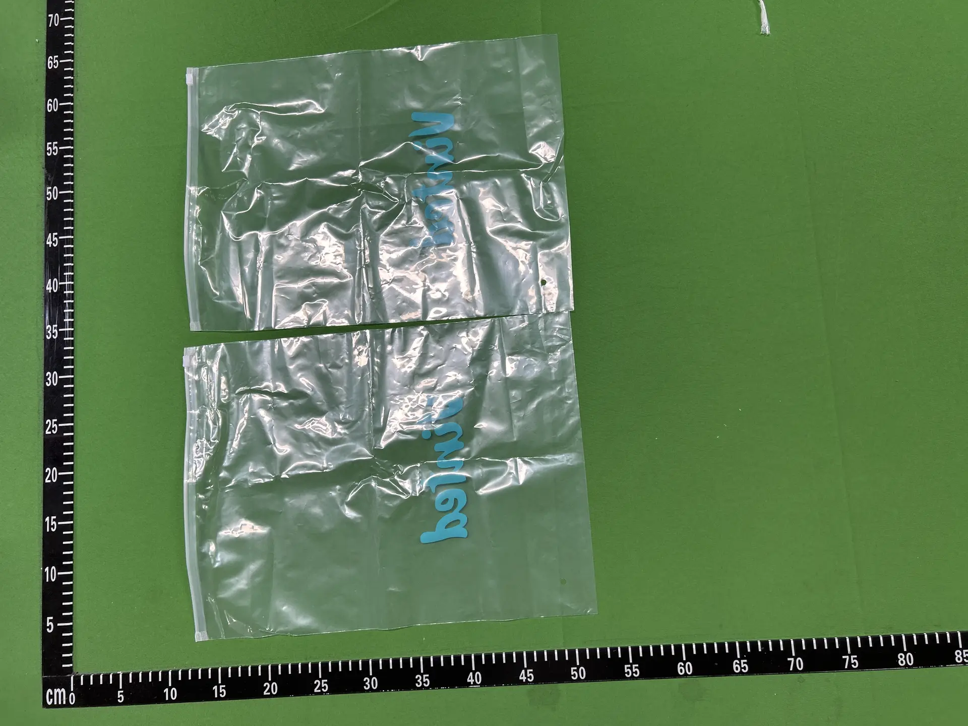 Vinted transparent zipper bag