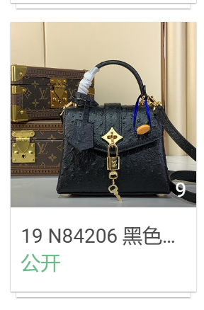 19 N84206 黑色(鸵鸟纹)