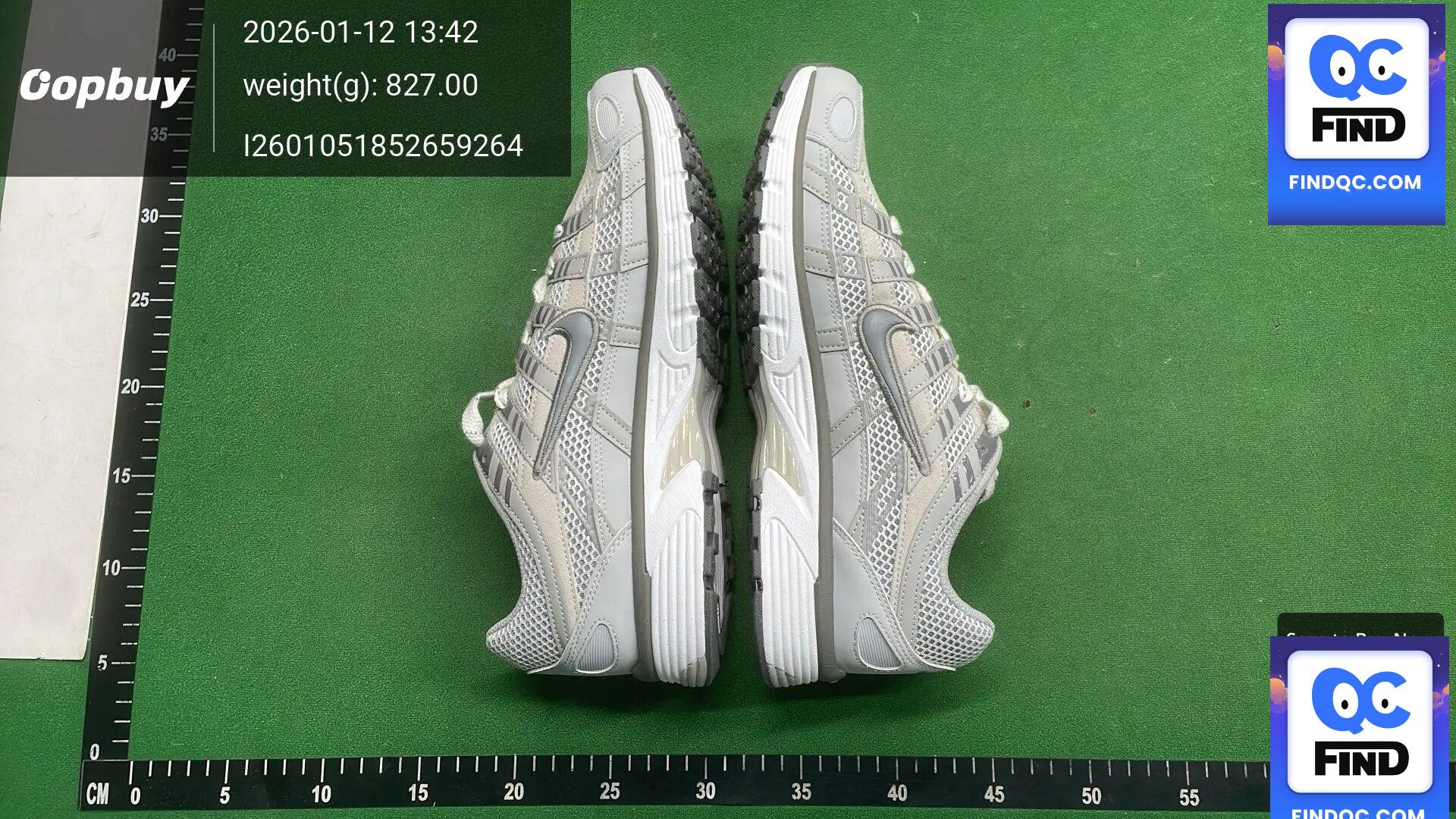 Nike P-6000 Metallic Silver QC