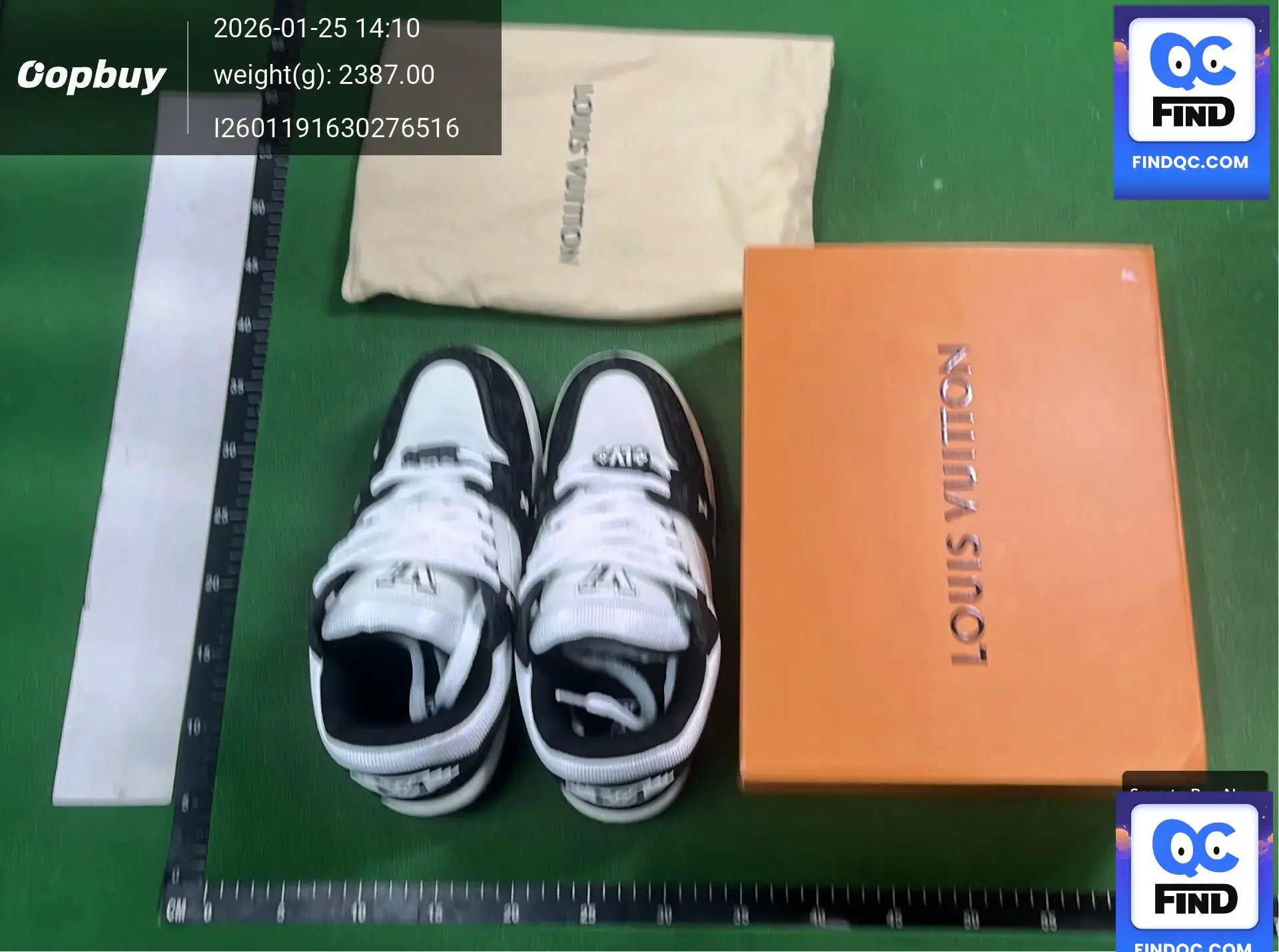 Louis Vuitton LV Trainer Black White