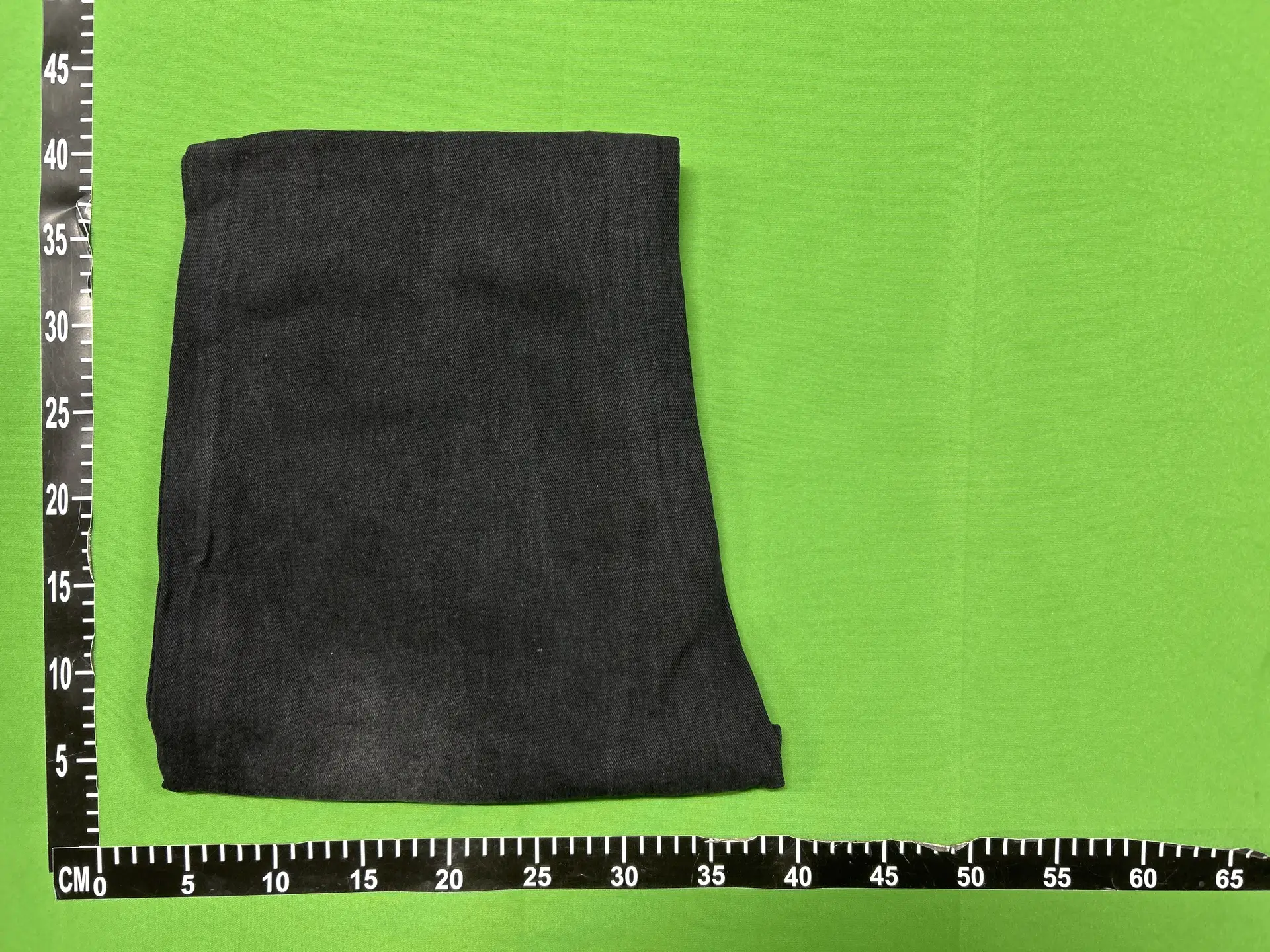 20250131 Pant