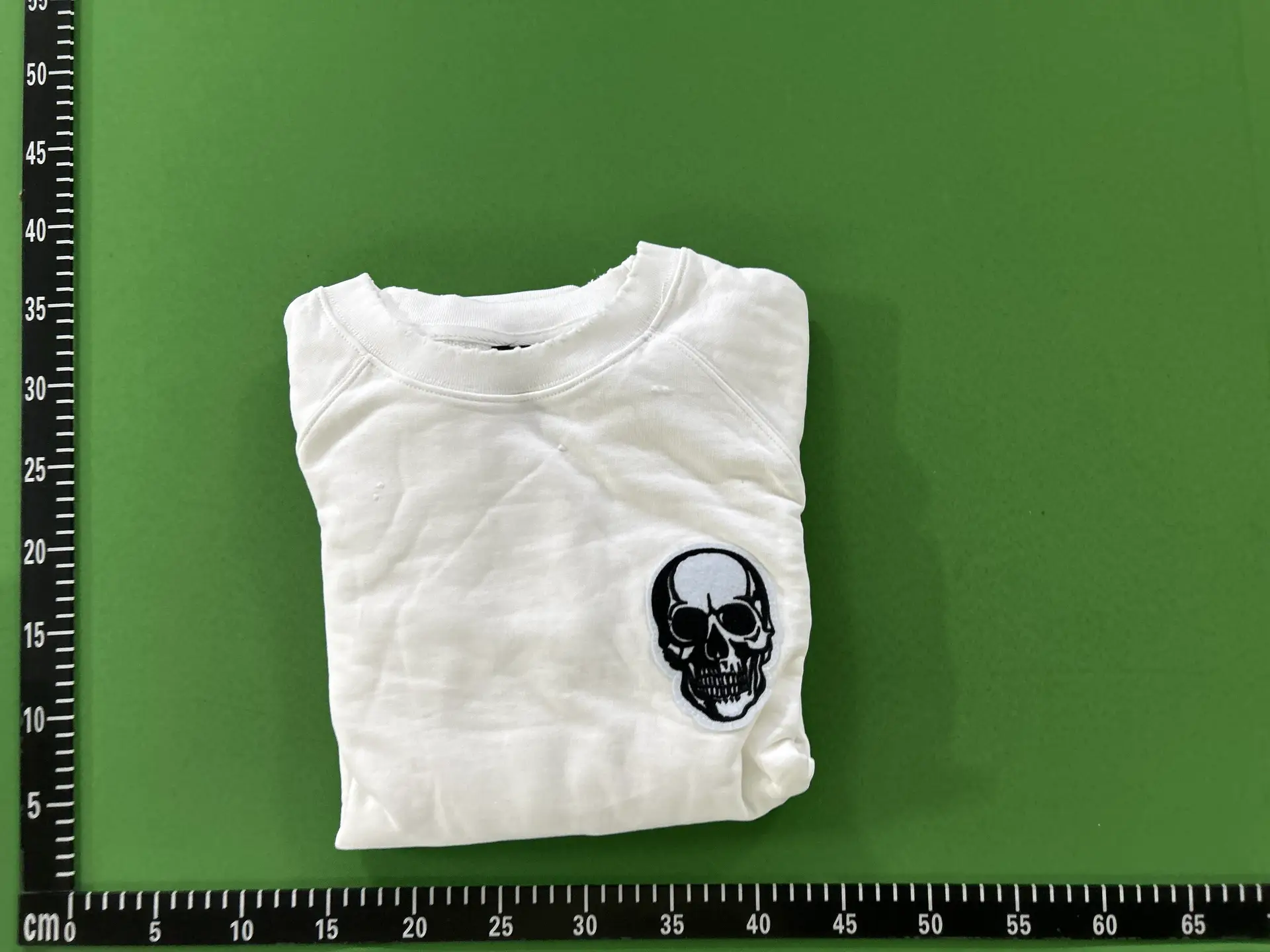 Autonomous Number (N)Ine Double Skull White Double Skull Embroidery Crew Neck Sweatshirt Pullover T-Shirt