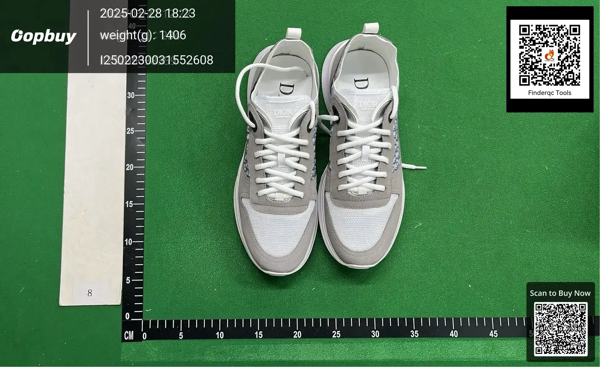 Dior B23 Low Top Sneaker White Grey