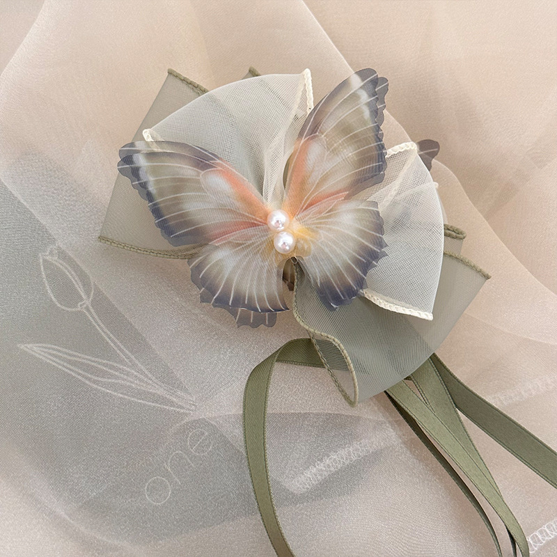 Super Fairy Spring New Style Big Butterfly Streamer Grab Clip Simple and Versatile New National Style Hair Clip Hair Accessories Headdress Shark Clip