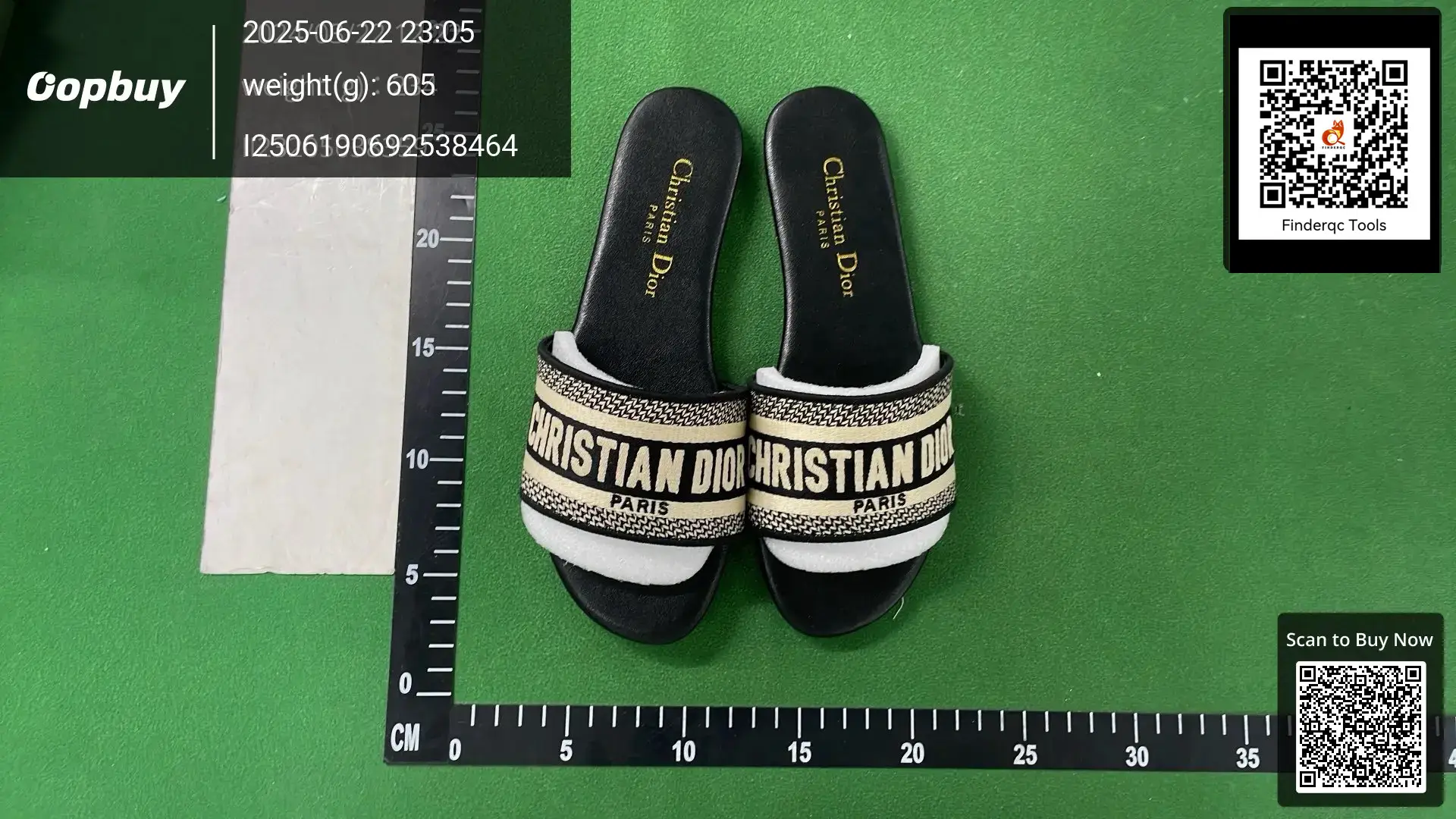 Christian Dior Paris Slides