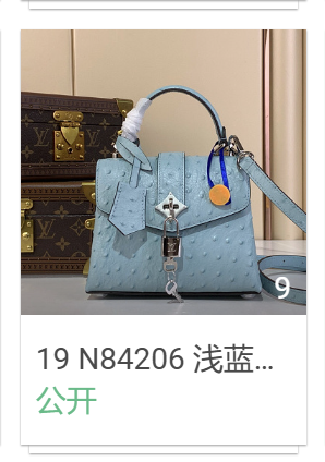 19 N84206 浅蓝色(鸵鸟纹)