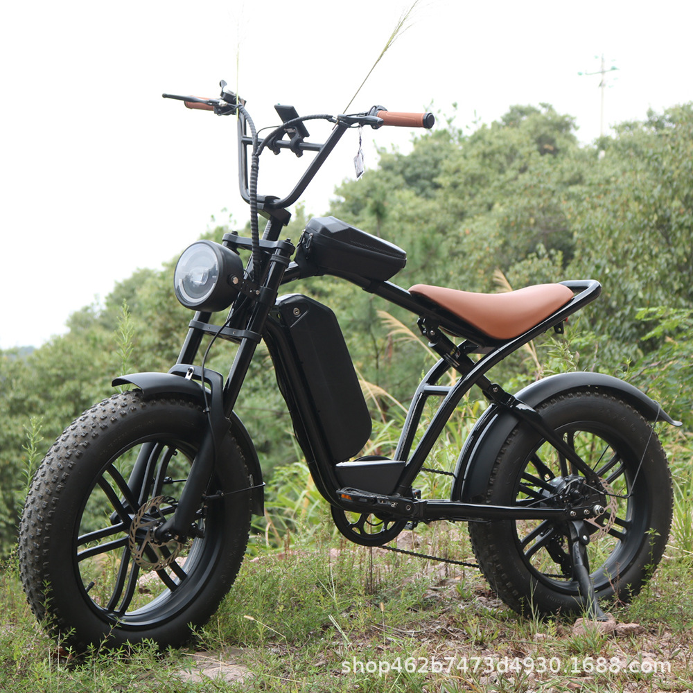 20inch Fat Tire Electric Bicycle Overseas Warehouse Power-Assisted Beach Bike Lithium Battery Mountain Bike Snowmobile Strong Factory Foto QC de 1688 na Qualit.ly