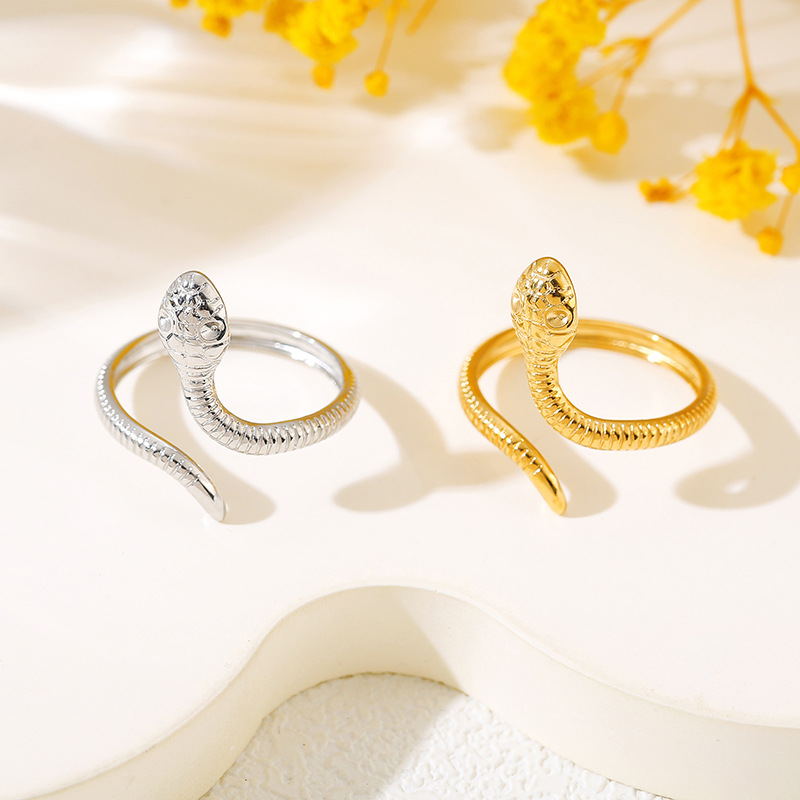 European and American Niche Ins Style Titanium Steel Ring Korean Style Fashion Snake-Shaped Couple Ring