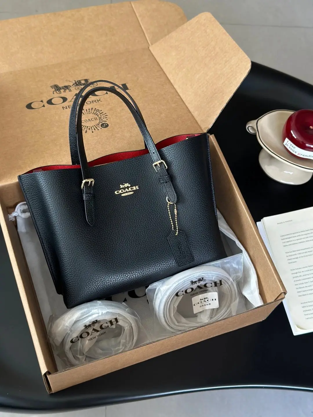 COACH Mollie 25 Tote Crossbody Bag - CV965 Series