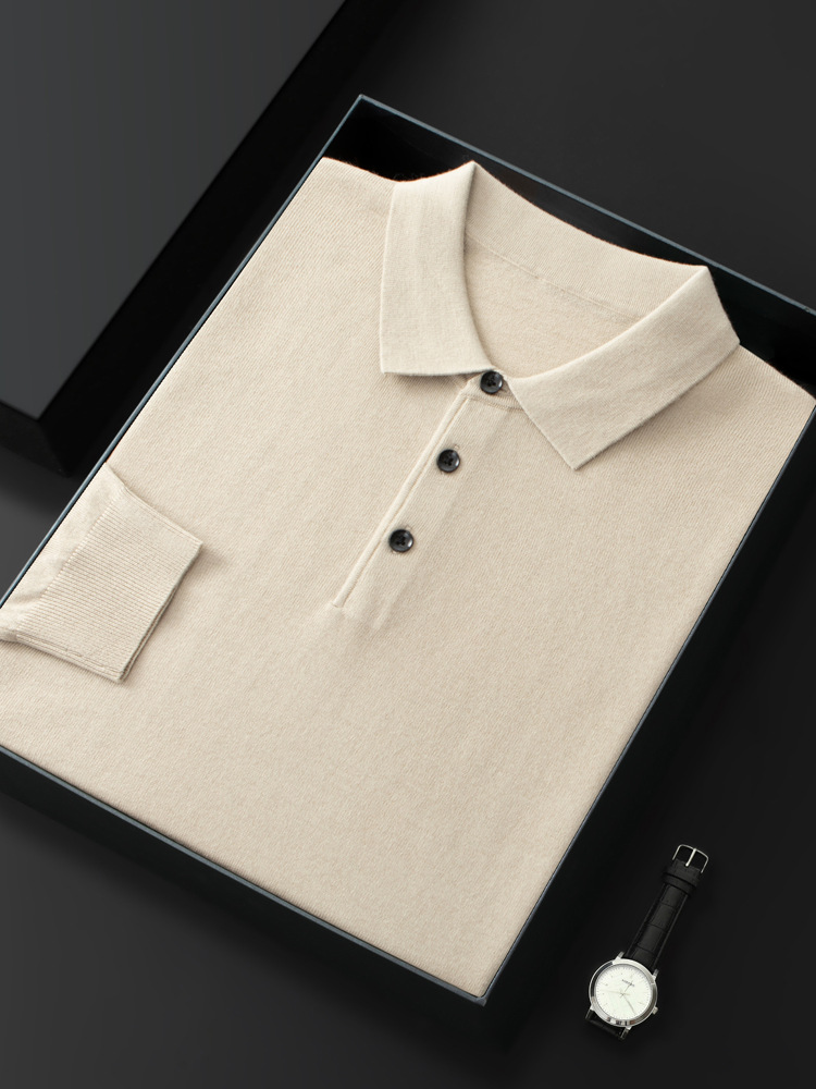 2025 Spring and Autumn New Polo Collar Fashion Wool Lapel Base Shirt Men's Worsted Solid Color All-match Wool Sweater
