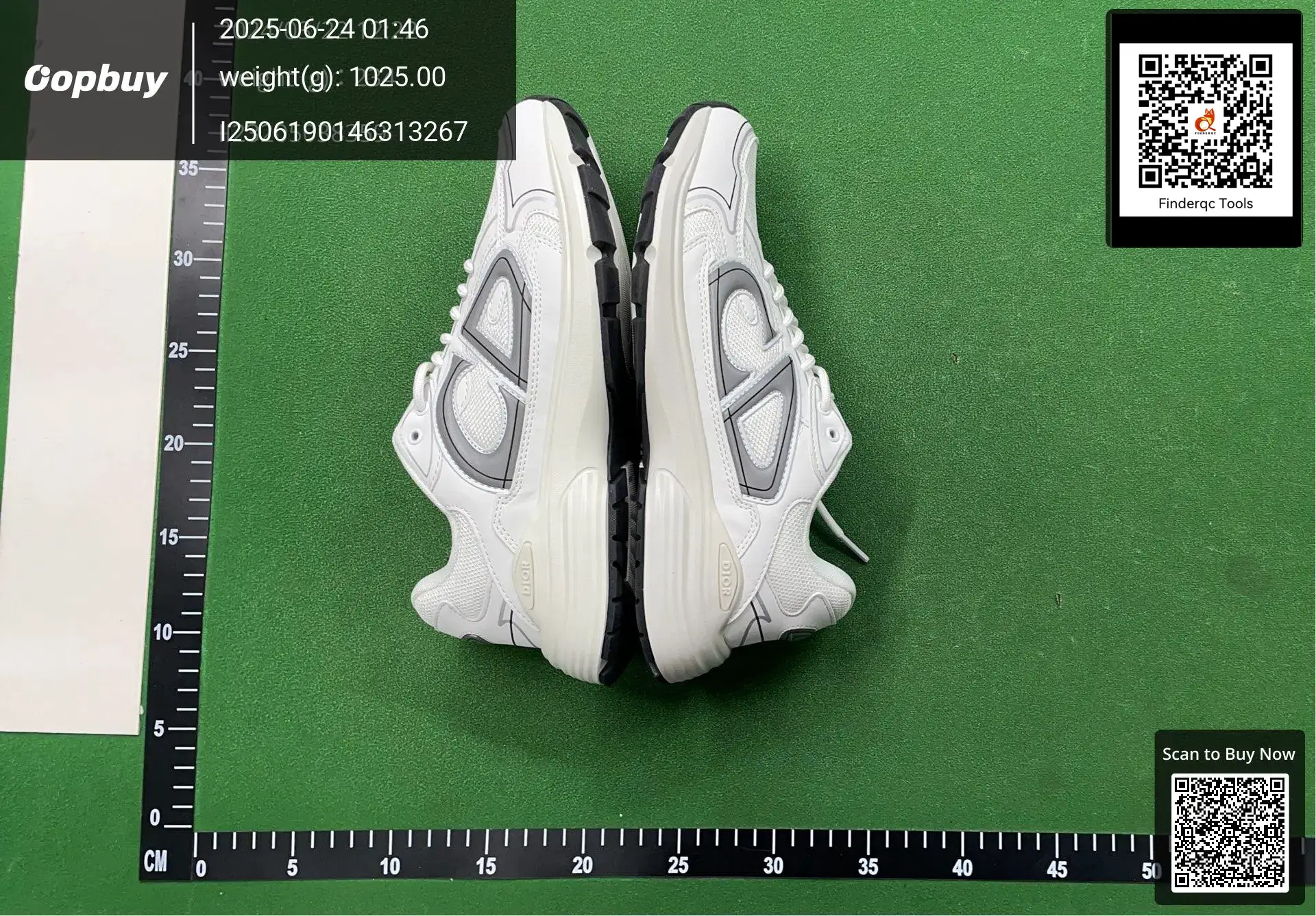 Dior B27 Low Top Sneakers White Grey