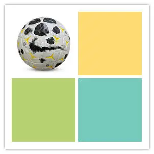 2025 size 5 footballID: 42512041635